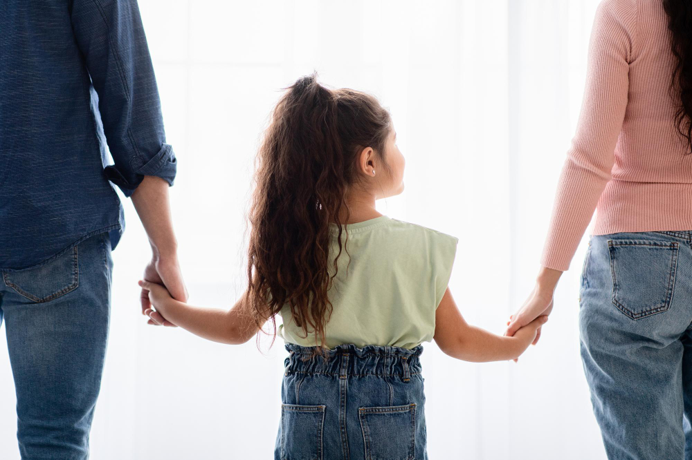 Navigating the Legal Maze: A Delicate Balance in Child Custody Cases